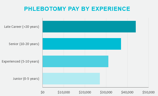 Phlebotomist Salary The Definitive Guide Of Phlebotomy Technician Salary